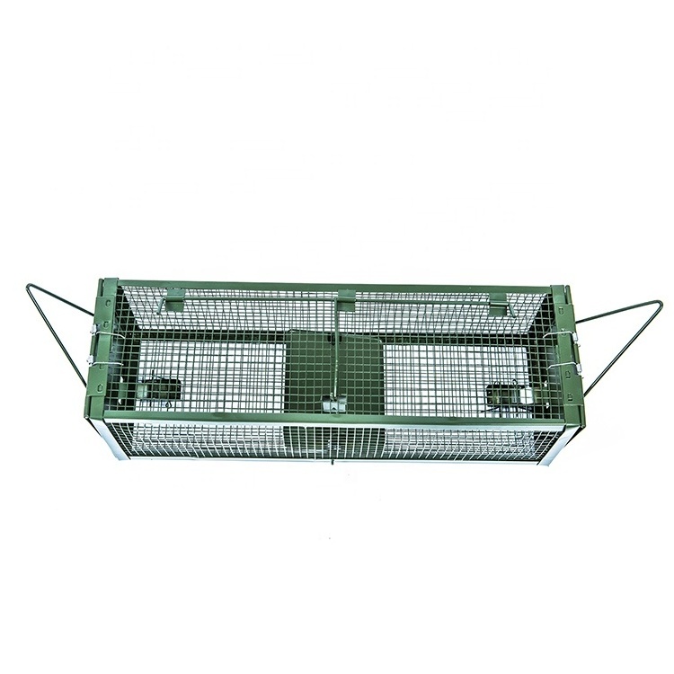 Retailer Squirrel Trap Humane No Kill Metal Heavy Duty Pest Animal Rat Catch Cage Box