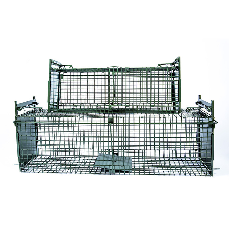 Retailer Squirrel Trap Humane No Kill Metal Heavy Duty Pest Animal Rat Catch Cage Box