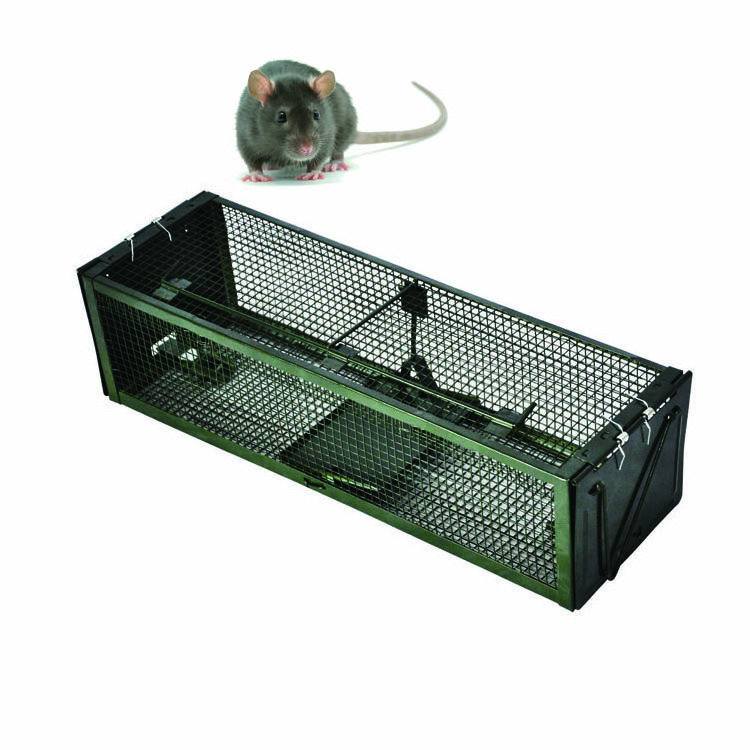 Retailer Squirrel Trap Humane No Kill Metal Heavy Duty Pest Animal Rat Catch Cage Box