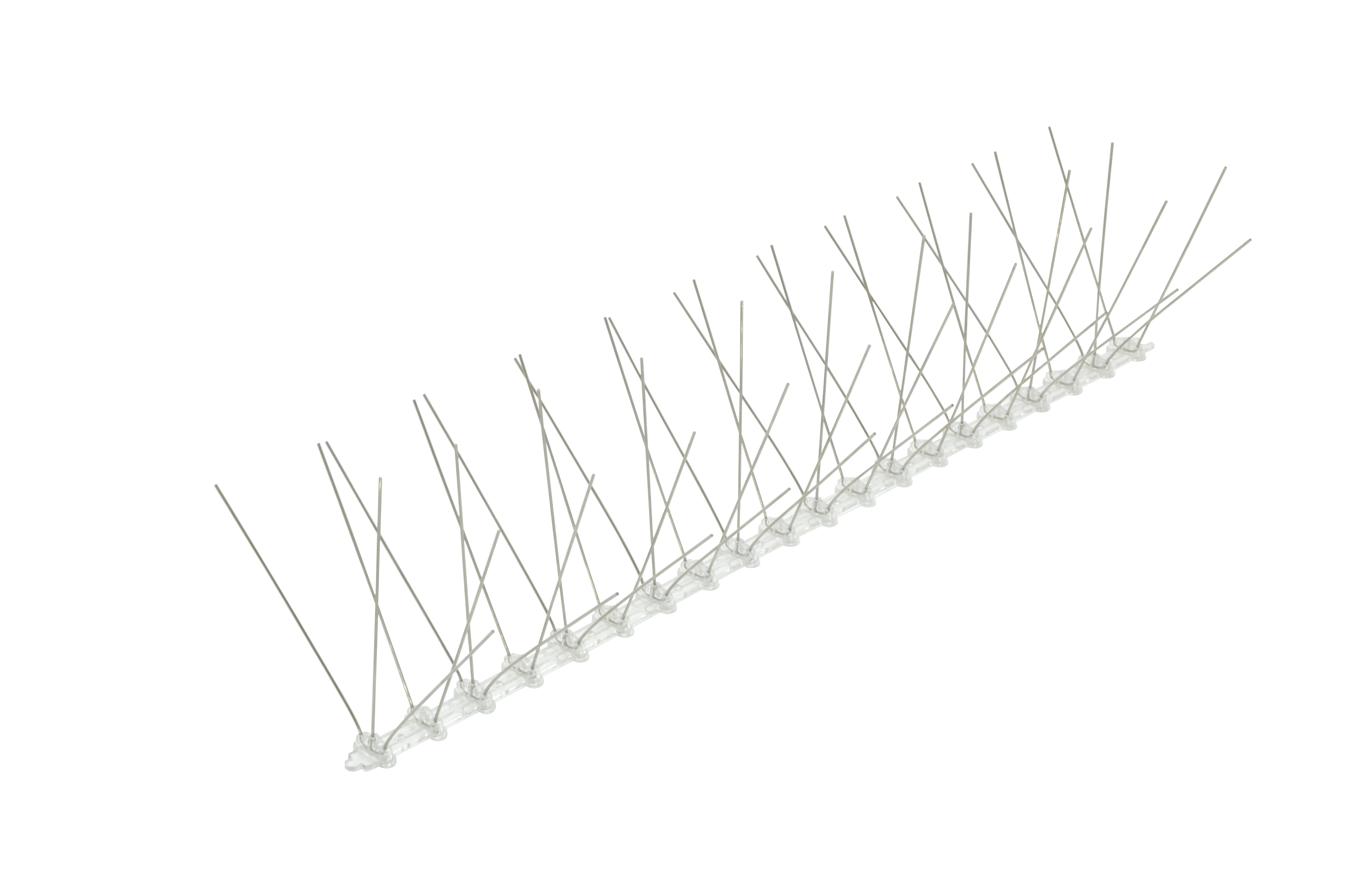 10 Years Warranty Stainless Steel SS Anti Birds Spikes Anti Pigeon  Spikes For The Bird Pros