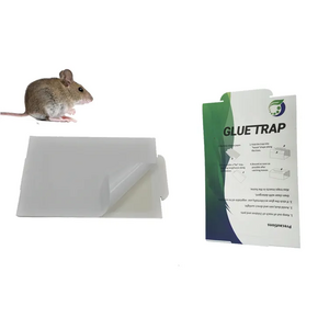 Large Mouse Glue Traps with Enhanced Stickiness, Rat Mouse Traps Outdoor, Easy to Set