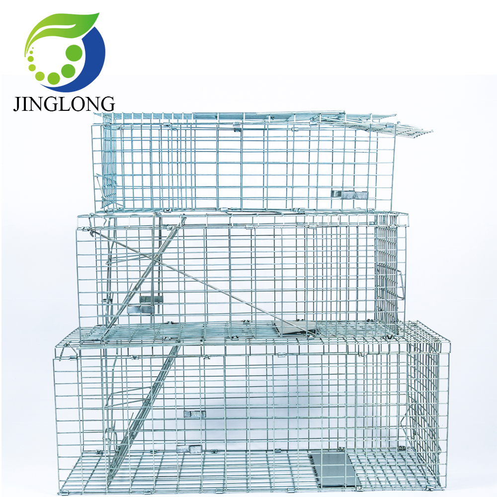 Large Two Doors Humane Metal Wire Live Wild Animal Trap Cage Trap