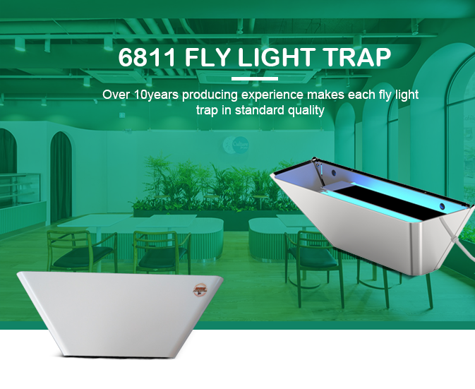 Decorative Economical Fly Light Trap Insect Control Fly trap UV Light Trap Insect Killer Lamp