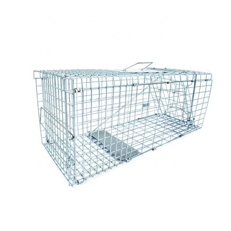 Large Two Doors Humane Metal Wire Live Wild Animal Trap Cage Trap