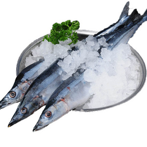 Quick Freezing Whole Round Frozen Pacific Saury Frozen Sanma fish