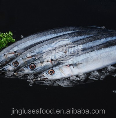 Quick Freezing Whole Round Frozen Pacific Saury Frozen Sanma fish