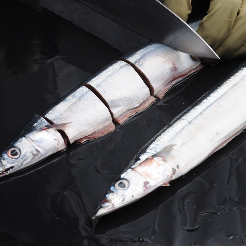 Quick Freezing Whole Round Frozen Pacific Saury Frozen Sanma fish