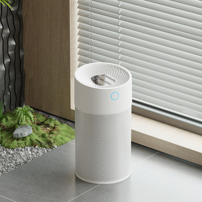 Rohs air purifier review discount