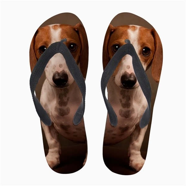 Cheap Wholesale Personalized Flip Flops Lovely 3D Animal Dachshund Dog Printed Teen Girls Slip-on Sandals