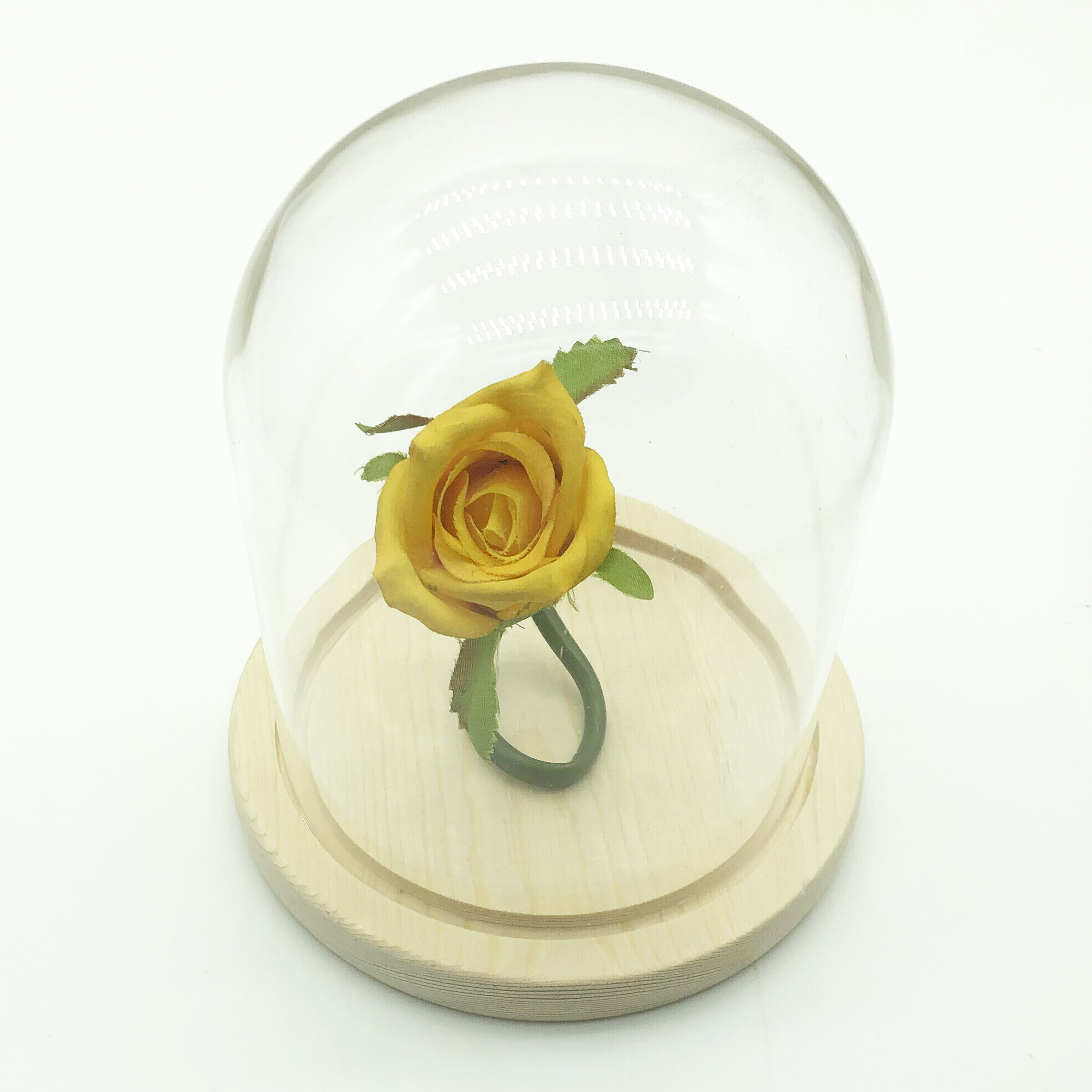 Jar Preserved Rose Glass Dome for Nordic Home Decor