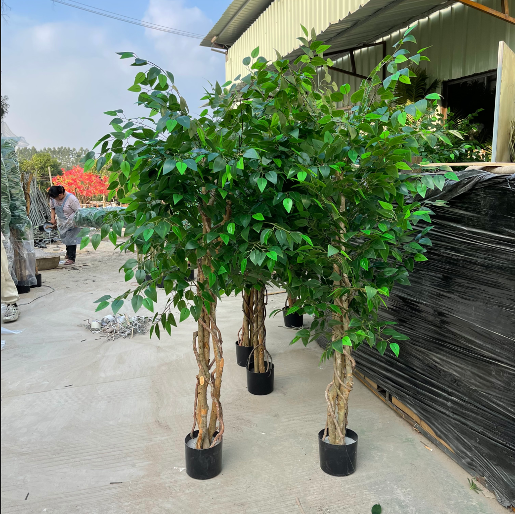 Wholesale artificial large fern tree potted outdoor decoration china banyan ficus tree