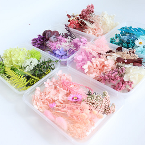 S291 Multiple Preserved Fresh Flower Christmas DIY fragrance candle floating dried flower material bag