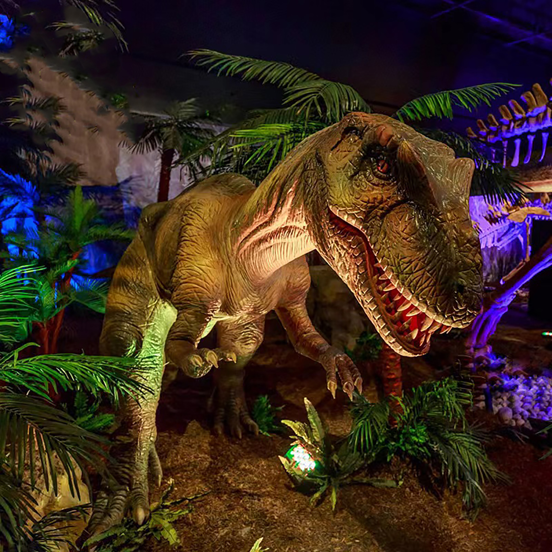 Jingujin  animatronic dinosaur life size faultless dinosaur park realistic simulated animatronics for park