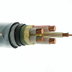 Direct Buried Single Core Pvc Power Rated Voltage 0.6/1Kv Electric Cable