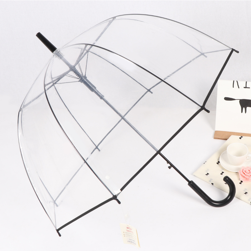 Popular Women Clear Dome Shaped Transparent Umbrella Design