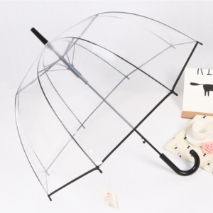 Popular Women Clear Dome Shaped Transparent Umbrella Design