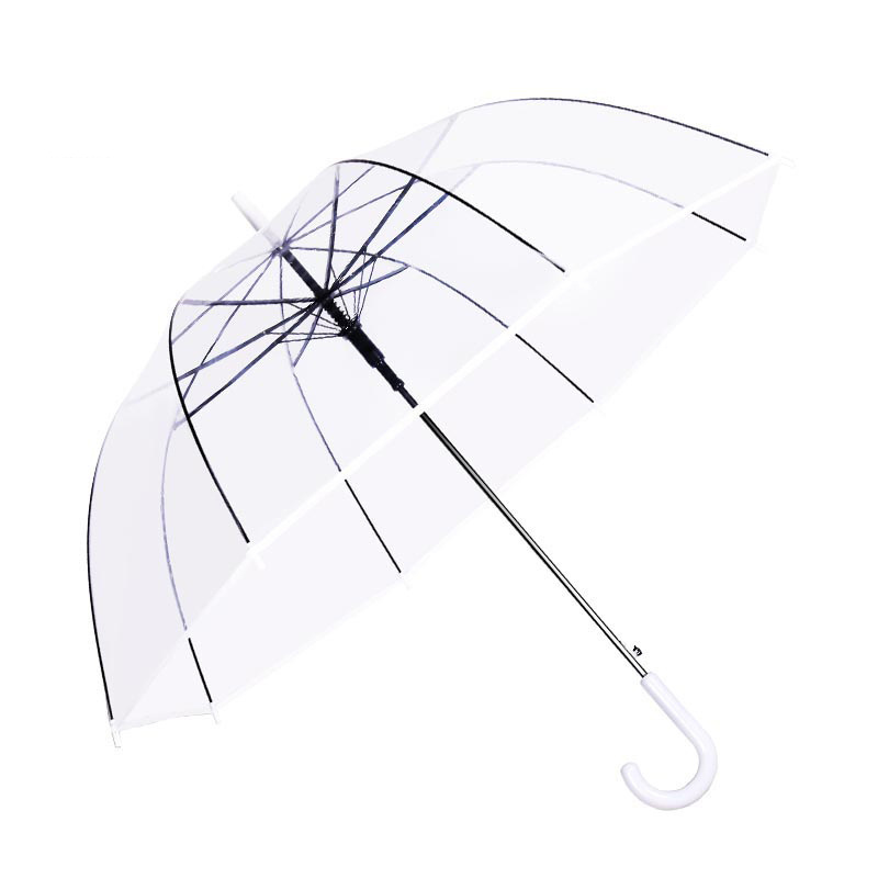 Popular Women Clear Dome Shaped Transparent Umbrella Design