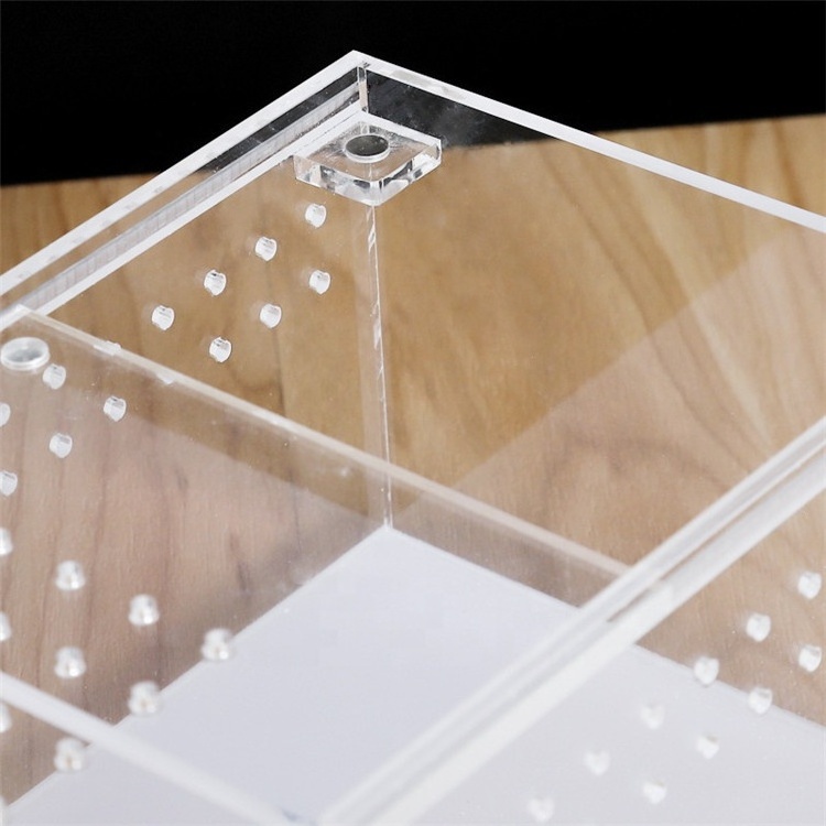 Acrylic Combination Breeding Box for Spider Scorpion Snake reptile Pet Tank Insect Carrier Transparent