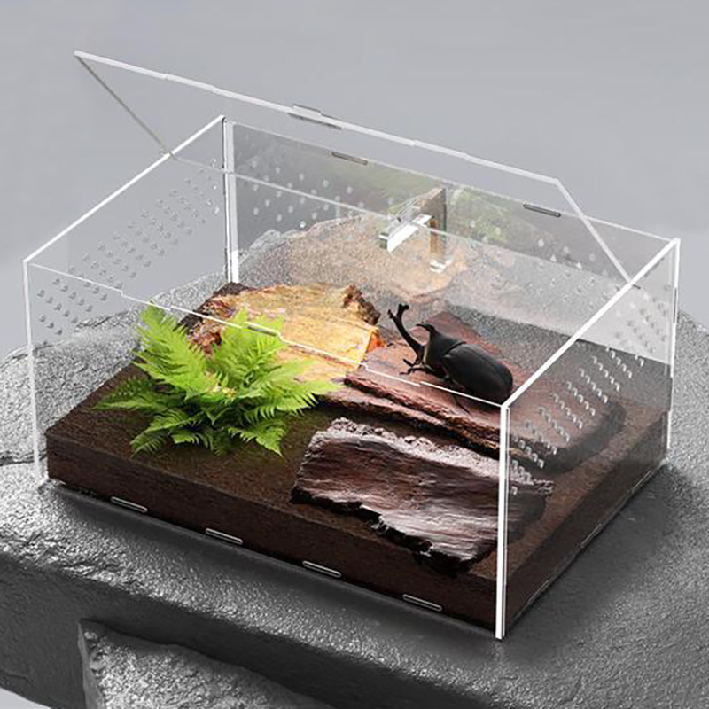 Customized acrylic waterproof reptile display cabinet acrylic reptile box