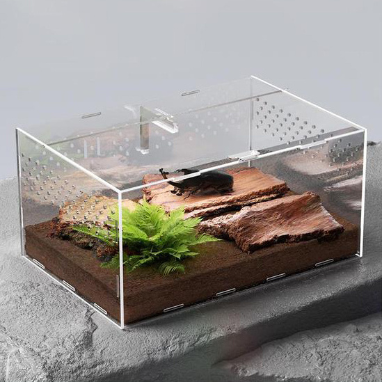 Customized acrylic waterproof reptile display cabinet acrylic reptile box