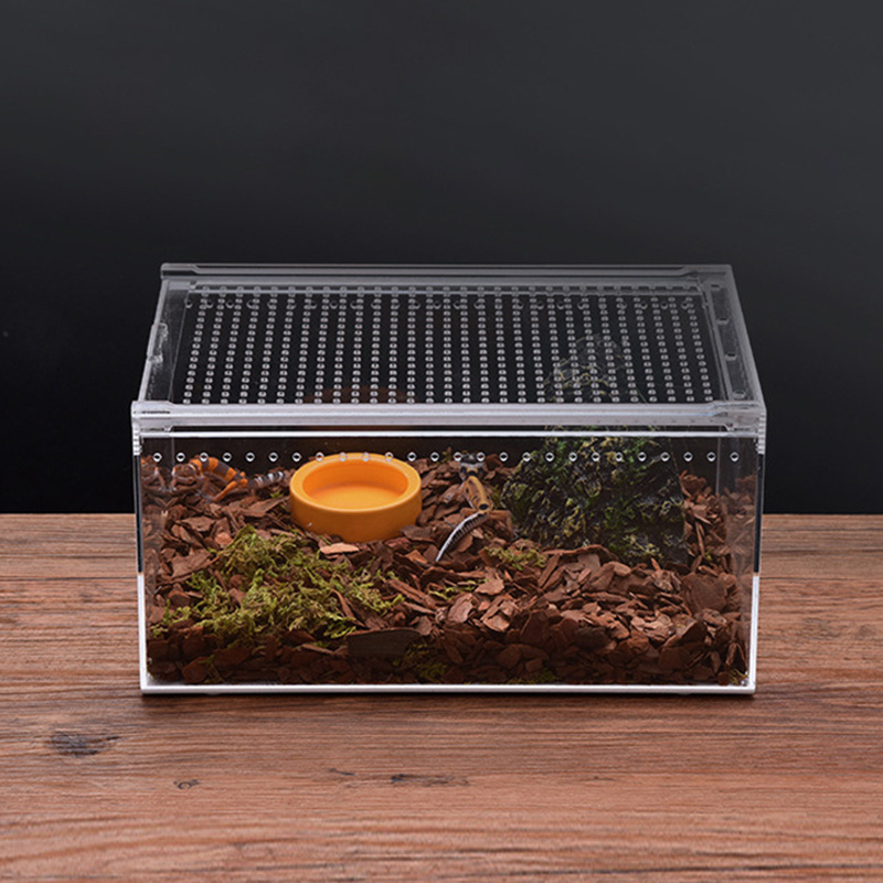 Pet hot selling large acrylic lizard reptile breeding box snake reptile