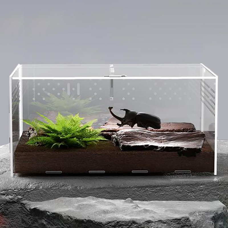 Customized acrylic waterproof reptile display cabinet acrylic reptile box