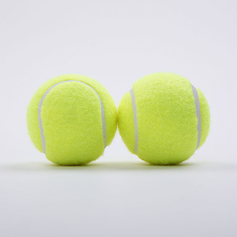 Factory Promotional Customized Printed Cheap Black Pet Tennis balls