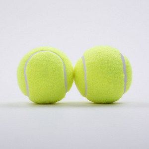 Factory Promotional Customized Printed Cheap Black Pet Tennis balls