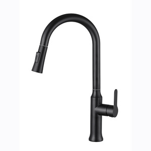 Kitchen Faucets With Pull Out Spout Stainless Steel Taps Modern Kitchen Tap Sink Faucet