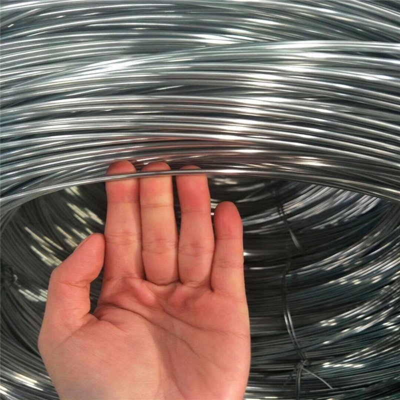 China Manufacturer SAE1006 wire Hot Rolled Z35 Galvanized Steel Wire Rod In Coils For Making Nails