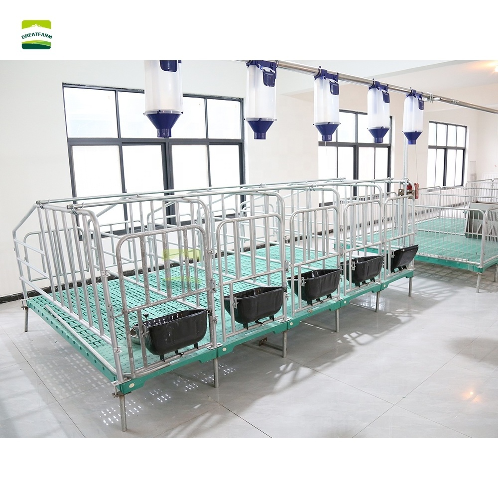 GREAT FARM Hot Dalvanized Sow Farrowing Cage Fatten Finishing Penning for Automatic pig farm