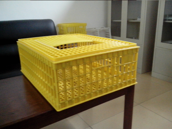 Duck Bird Poultry Transport Crates Plastic Chicken Transfer Cages Livestock Chicken Duck Transport Boxes for Sale