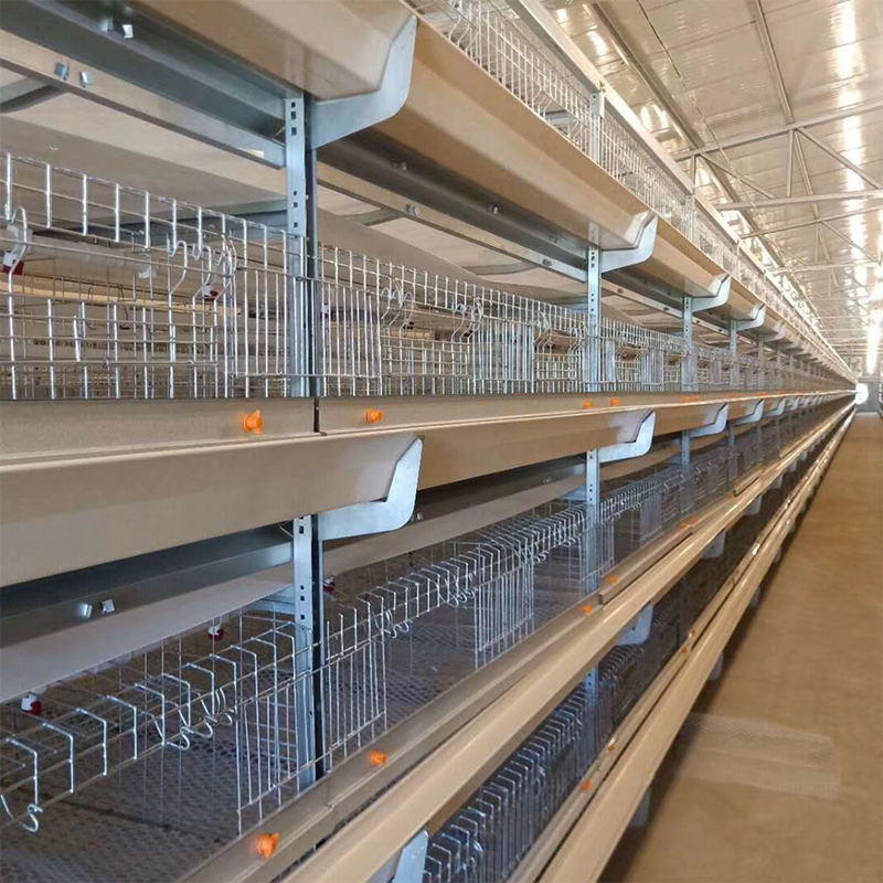 Poultry Husbandry Equipment A-type Battery Cage Chicken Coop Chicken Cages of Layer or Broiler Great Farm Animal Motor a Type