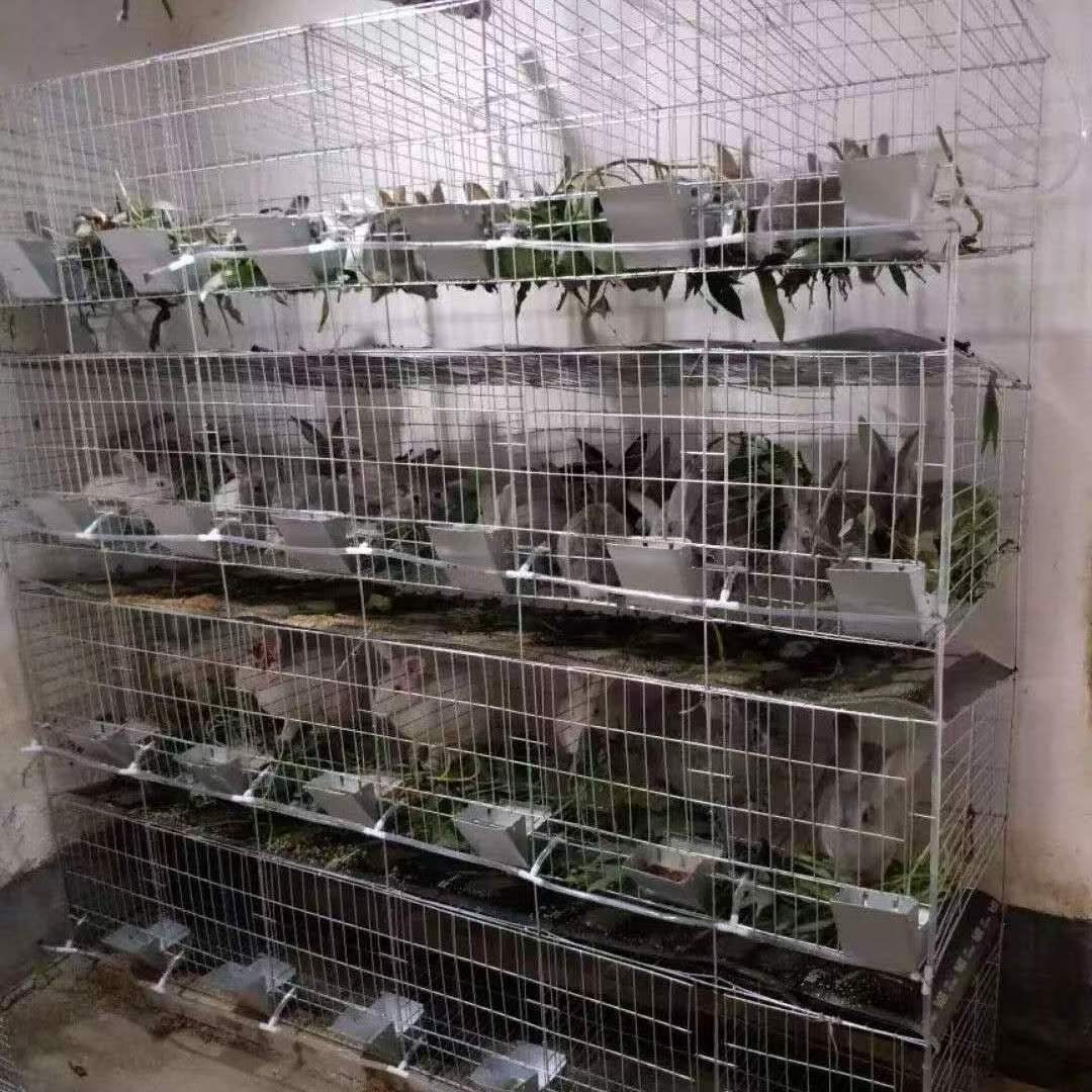 Galvanized Rabbit Cages Cheap Commercial Rabbit Breeding Cages Durable Provided Rabbit Cages For Sale 2023 Best Selling