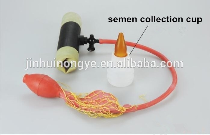 Manual and simple animal sperm collector for artificial insemination of cattle, sheep, horses, pigs and farmers