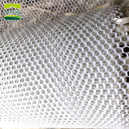 PP Material Chicken Plastic Net Floor Chicken Plastic Wire Mesh for Chicken Farm use Broilers Cage Breeding