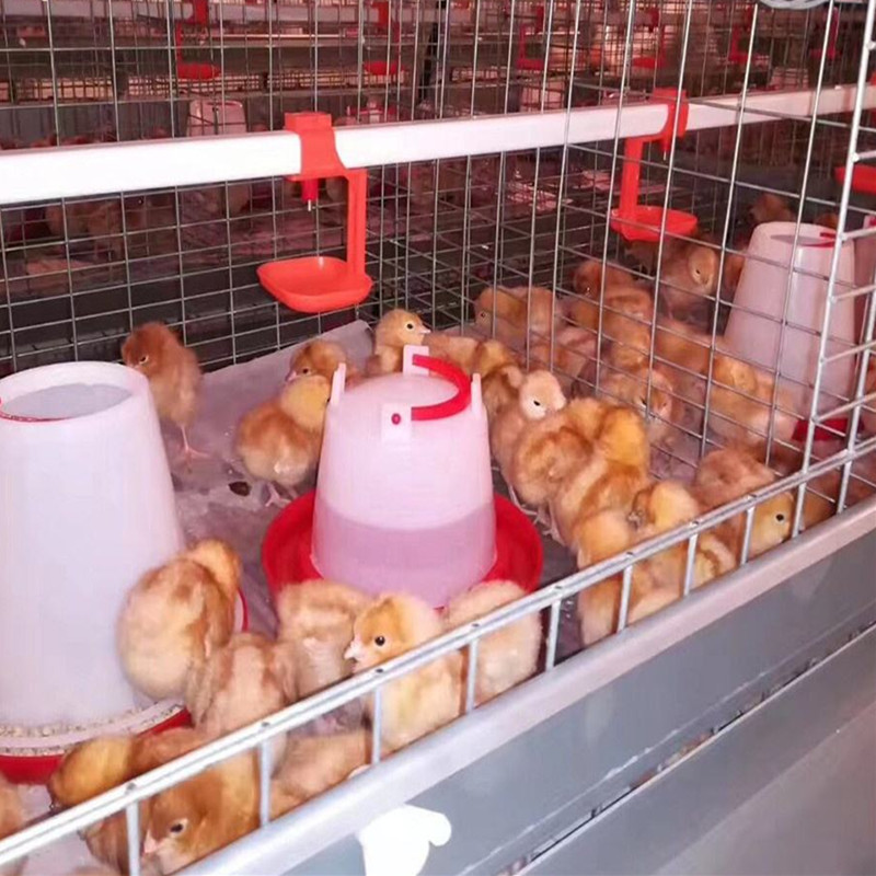 2023 New Product Automatic Pullet Chick Battery Cage Chicken Nesting Box Provided Chicken Coops H Type Layer Chicken Cage 1503