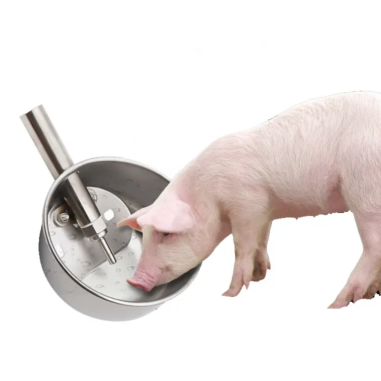 Hot Selling 304 Stainless Steel Automatic Pig Drinker New Condition for Farms Home Use Animals with Nipple and Valve