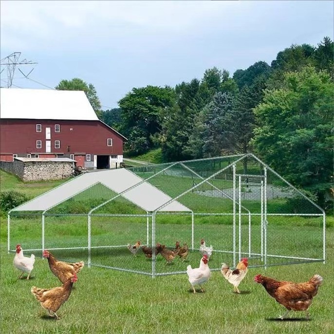 Great Farm Hot Sale Animal Cage Chicken Coop Sheet Chicken Poultry Fly Pen Provided Customizable Wooden Chicken House 50sets