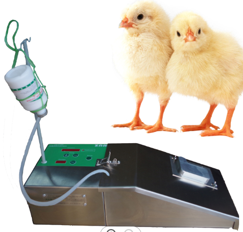 2022 Best Price automatic poultry vaccinator  for vaccine machine   chick vaccination machine automatic