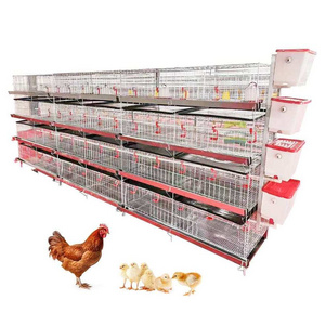 2024 New Product 3ply/4ply Hold 90/120 Chicken Automatic Pullet Chick Cage Chicken Nesting Chicken Farming poultry cages