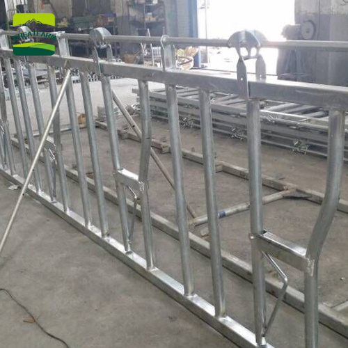 GREAT FARM cattle farm equipment cattle fence hot dip galvanized cattle cow headlock