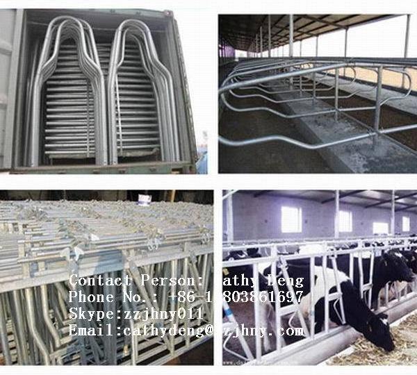 Dairy Headlocks Agriculture Farm Equipment cattle husbandry equipment