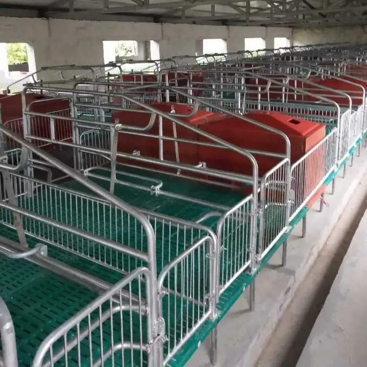 Animal birth bed farm raising equipment cast iron pig pen sow farrowing crate for sale Pig cage with The pig obstetric table