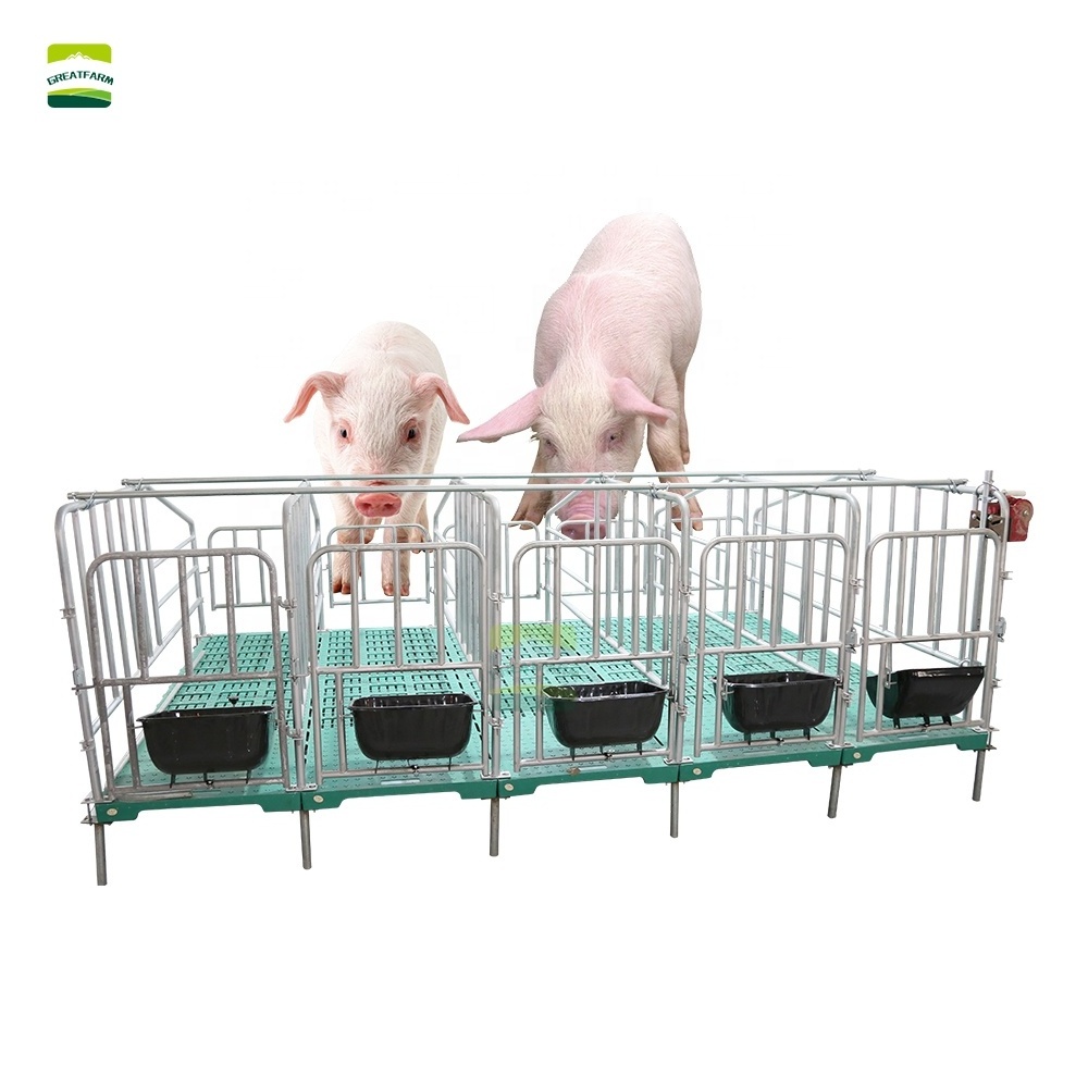 GREAT FARM Hot Dalvanized Sow Farrowing Cage Fatten Finishing Penning for Automatic pig farm