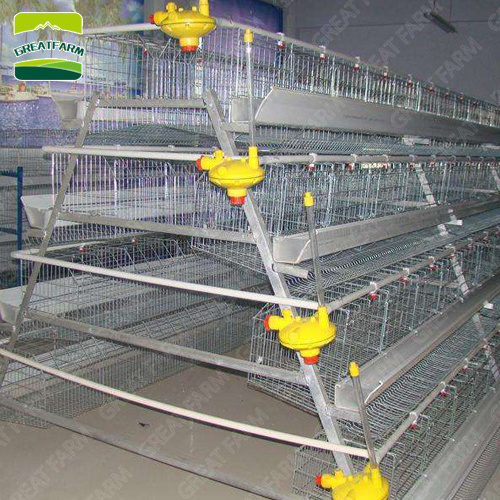 Poultry Husbandry Equipment A-type Battery Cage Chicken Coop Chicken Cages of Layer or Broiler Great Farm Animal Motor a Type