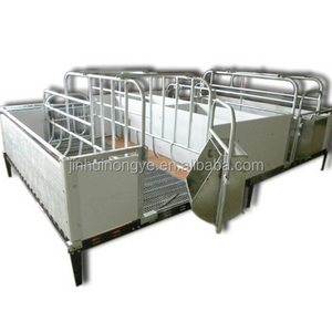 great fram pig feeding equipment pregnant sow stall pig Gestating stall professional design long time working Tubular Sow Stalls