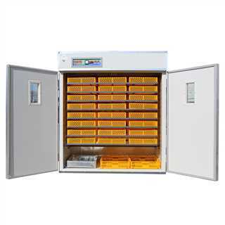 Great faem hot sale 1056 chicken eggs 2023 Poultry Hatcher Incubator for chicken duck quail bird