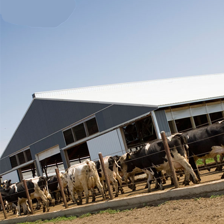 Automatic double opening headlock for cattle/cow