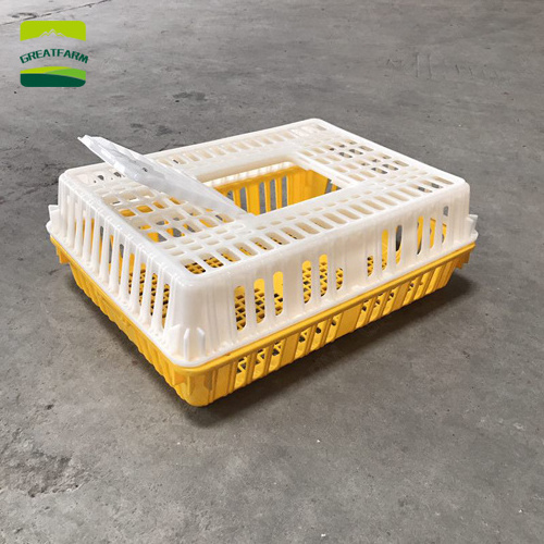 Live Chicken to Transport Cages for Sale Transport Basket New Product 2023 Provided Bearing Chicken Crates Professional Plastic